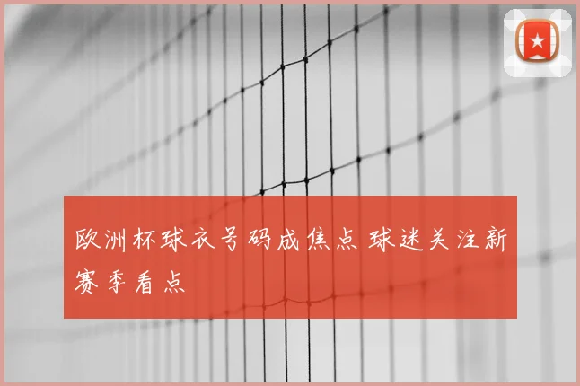 欧洲杯球衣号码成焦点 球迷关注新赛季看点